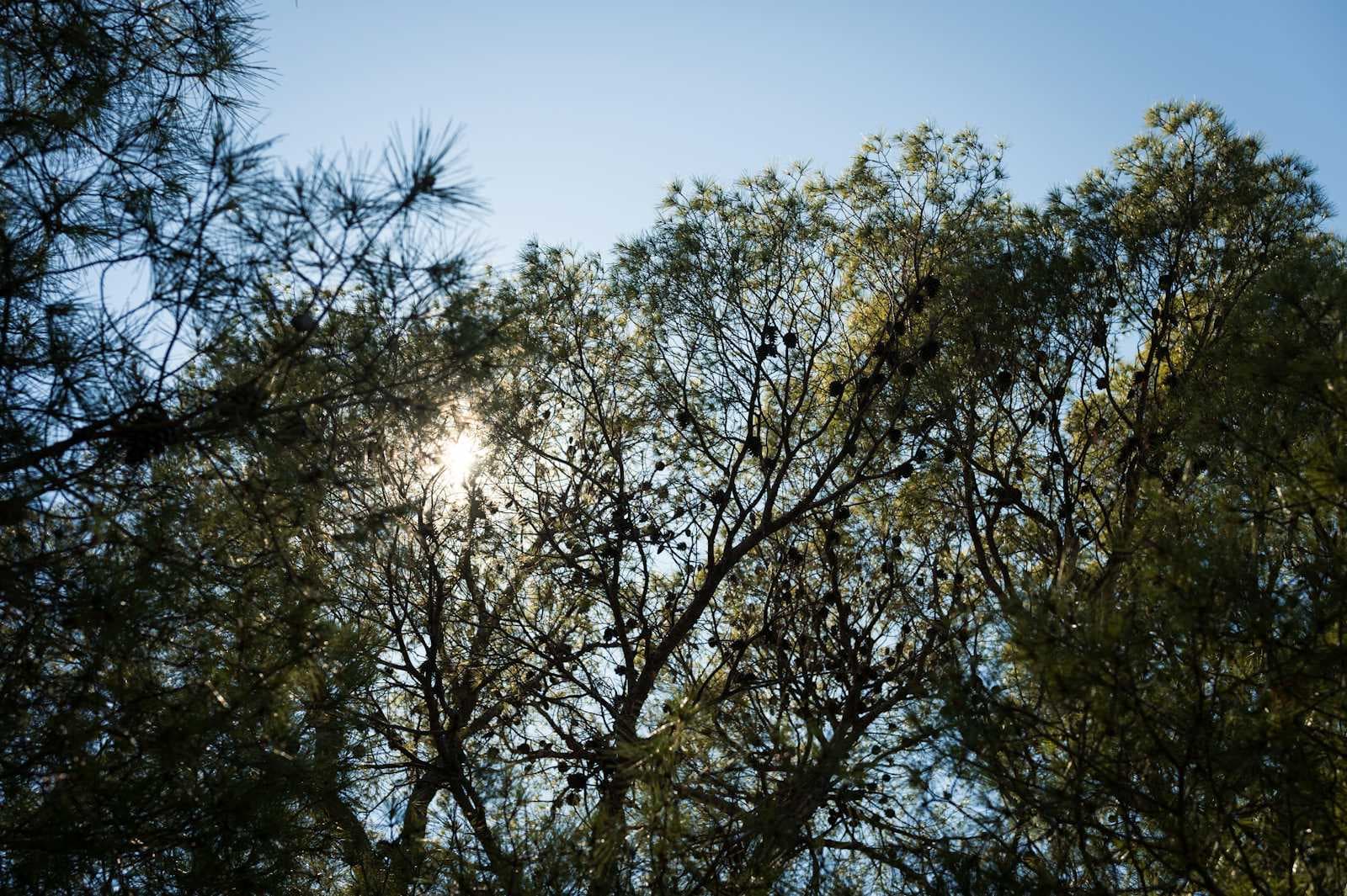 4月的随笔在云开雾散之后