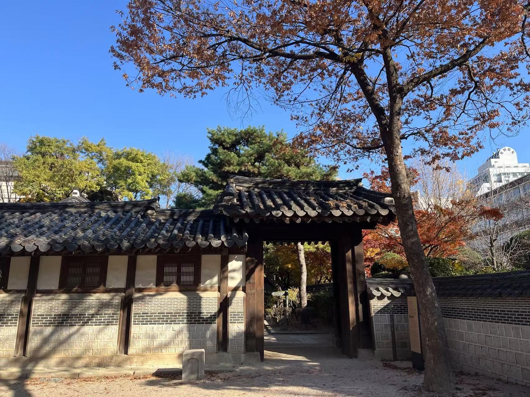 首尔不完全攻略