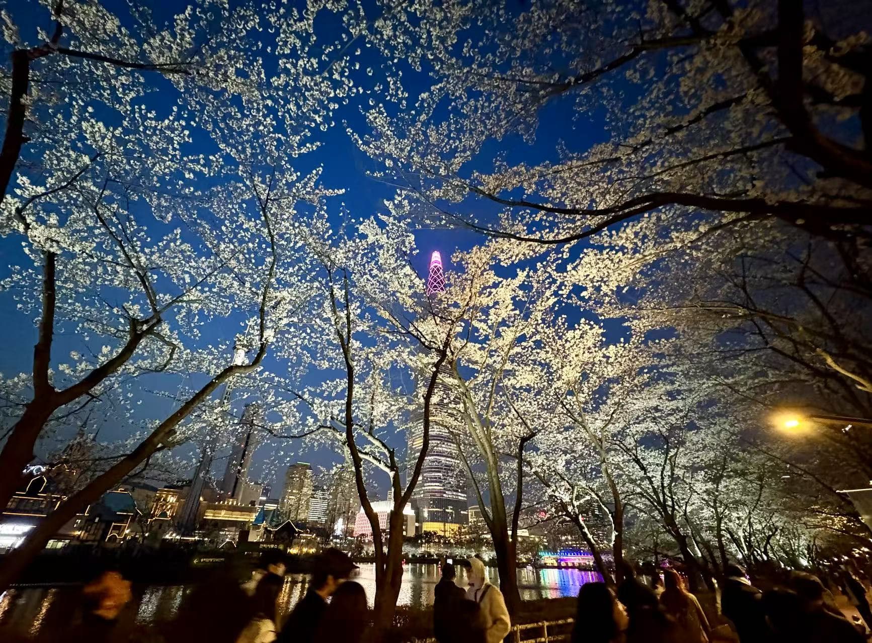 首尔短假赏樱和其他