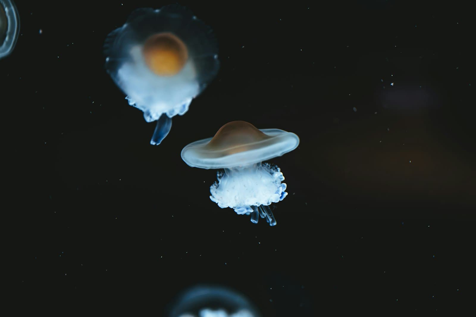 一瞬间想到的事情